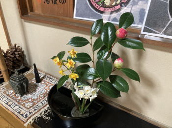 �����񍐎ʐ^